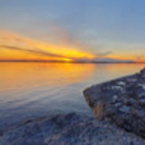 Meet your Posher, Fred